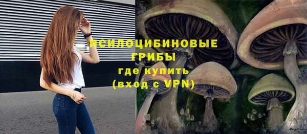 альфа пвп Краснотурьинск