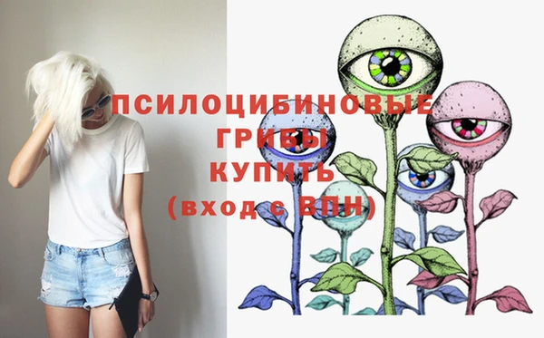 гашик Невьянск